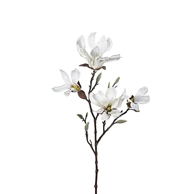 Magnolia hvit, en del av kategorien Kunstig plante - At Home Interiør